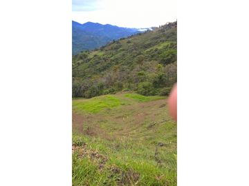 VENTA FINCA GENOVA QUINDIO