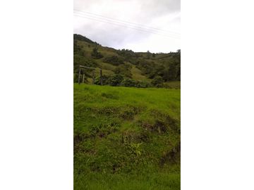 VENTA FINCA GENOVA QUINDIO