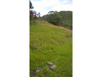 VENTA FINCA GENOVA QUINDIO