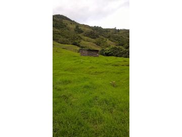 VENTA FINCA GENOVA QUINDIO