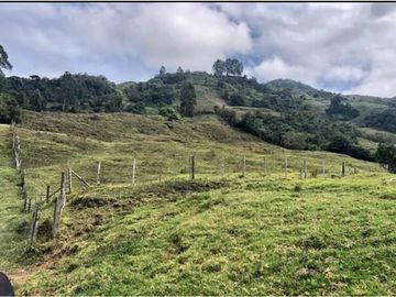 VENTA FINCA GENOVA QUINDIO