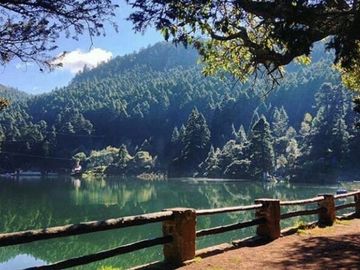 *QUINTA EL CEDRAL* ESTRENA TU CASA EN PRIVADA CERCA DEL BOSQUE