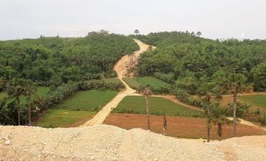 Very Affordable 120 Sqm Lot for Sale in Consolacion, Cebu near SM Consolacion