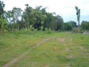Hunian Konsep Minimalis di Kawasan Kota Candi