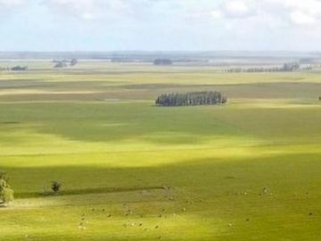 Excelente estancia, campo agrícola ganadero  - Castillos, Rocha Uruguay