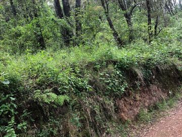 TERRENO EN VENTA , NICOLAS ROMERO