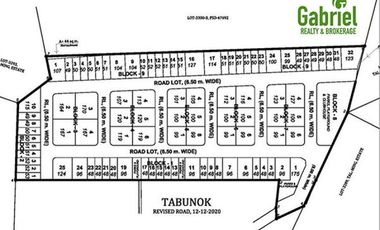 Single Detached House in Talisay City, Elkwood Homes