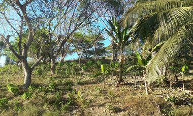 303 Sqm Big Lot for Sale in Greenwoods near Talamban Cebu City