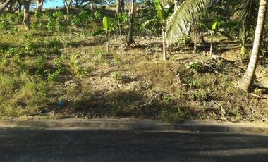 303 Sqm Big Lot for Sale in Greenwoods near Talamban Cebu City