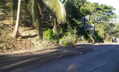 303 Sqm Big Lot for Sale in Greenwoods near Talamban Cebu City