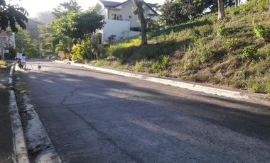 303 Sqm Big Lot for Sale in Greenwoods near Talamban Cebu City