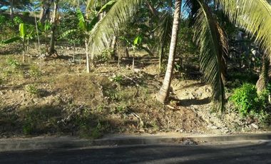 303 Sqm Big Lot for Sale in Greenwoods near Talamban Cebu City