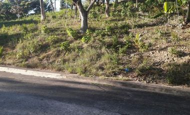 303 Sqm Big Lot for Sale in Greenwoods near Talamban Cebu City