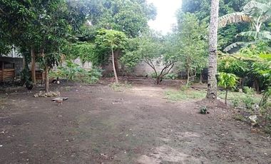 636 sqm. Lot for sale in Poblacion, Malvar, Batangas