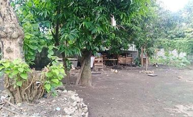636 sqm. Lot for sale in Poblacion, Malvar, Batangas