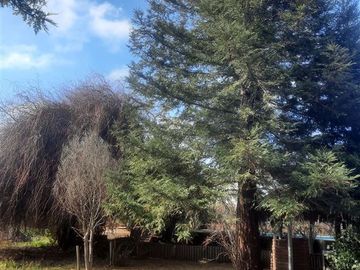 Hermosa Casa Colonial a solo tres km. de Curicó (37622)