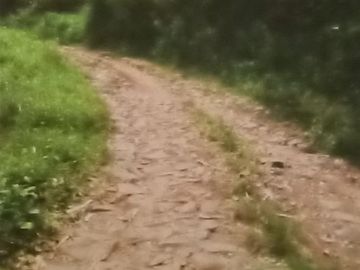Dijual Tanah Murah di Cimaung Banjaran Bandung