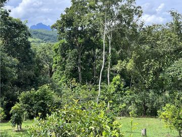 Escape to Tranquility in Capira, West Panama!