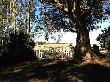 Sitio en Venta en SECTOR ALTO CENTINELA