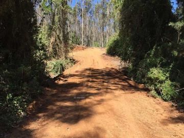 Sitio en Venta en SECTOR ALTO CENTINELA