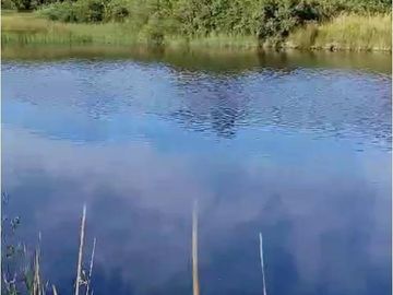 AP143 Parcelas Borde rio Huicha 5000 m2 roles independientes