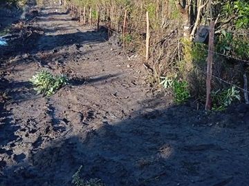 AP143 Parcelas Borde rio Huicha 5000 m2 roles independientes