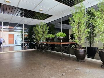 SE RENTAN OFICINAS EN LA JUAREZ