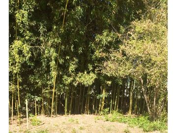 VENTA PARCELA AGRORESIDENCIAL CHILLÁN, SAN NICOLÁS