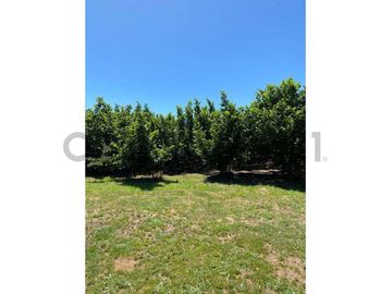 VENTA PARCELA AGRORESIDENCIAL CHILLÁN, SAN NICOLÁS