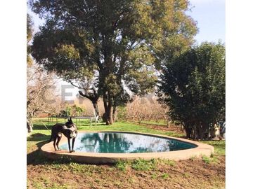 VENTA PARCELA AGRORESIDENCIAL CHILLÁN, SAN NICOLÁS