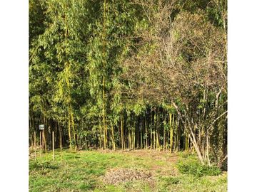 VENTA PARCELA AGRORESIDENCIAL CHILLÁN, SAN NICOLÁS