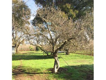 VENTA PARCELA AGRORESIDENCIAL CHILLÁN, SAN NICOLÁS