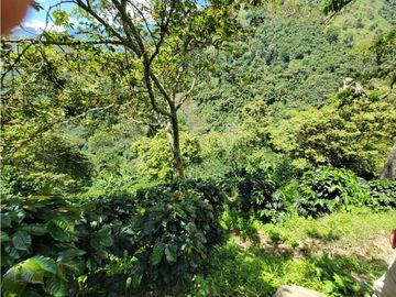 SE VENDE FINCA EN GENOVA