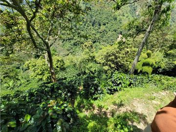 SE VENDE FINCA EN GENOVA