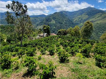 SE VENDE FINCA EN GENOVA
