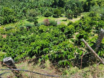 SE VENDE FINCA EN GENOVA