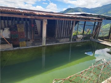 SE VENDE FINCA EN GENOVA