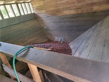 SE VENDE FINCA EN GENOVA