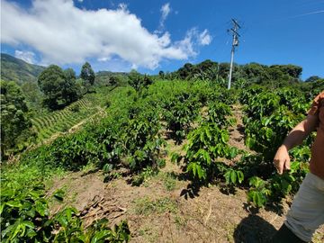 SE VENDE FINCA EN GENOVA