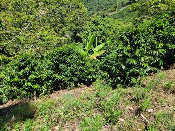 SE VENDE FINCA EN GENOVA