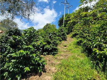 SE VENDE FINCA EN GENOVA