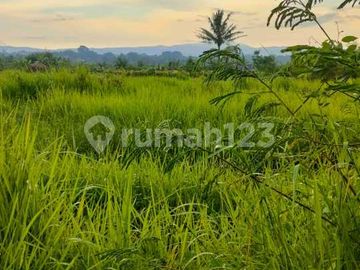 Tanah Produktif Luas, Siap Dikapling Ditemanggung