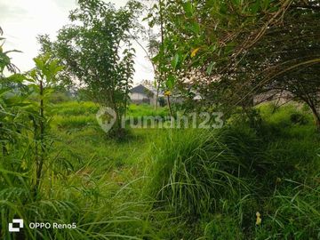Tanah Produktif Luas, Siap Dikapling Ditemanggung