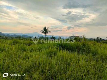Tanah Produktif Luas, Siap Dikapling Ditemanggung