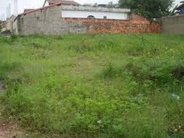 Terreno - Carlos Spegazzini