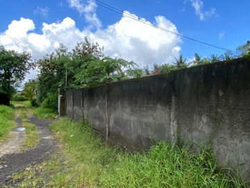 TANAH BAGUS DAN STRATEGIS 20 ARE DI UBUD GIANYAR