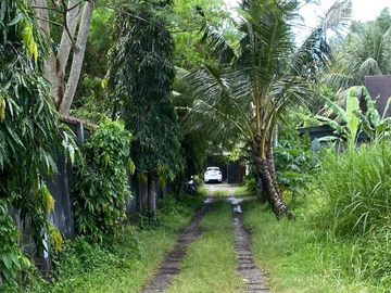 TANAH BAGUS DAN STRATEGIS 20 ARE DI UBUD GIANYAR