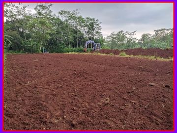 Barat Lotte Grosir Tegal: Tanah Layak Investasi