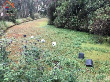 Finca de venta en Cayambe, 12 HA
