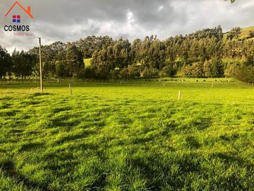 Finca de venta en Cayambe, 12 HA